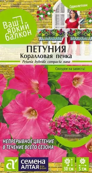 Семена цветы Петуния Коралловая Пенка.<br>
 <br>
 Многоцветковый сорт петуний, выращивается как однолетник. Образует разветвленные компактные кустики высотой 25-30 см. с множеством кораллово-розовых цветков до 5 см. в диаметре. Растение отличает стабильный рост в различных условиях выращивания. Используется для декоративного оформления балконов, фасадов зданий, городских и садовых участков. Светолюбивое и достаточно засухоустойчивое растение. Предпочитает легкие плодородные, хорошо дренированные почвы. Посевы на рассаду проводят с середины февраля. Семена равномерно распределяют по поверхности субстрата, не заделывая, а лишь слегка вдавливая в грунт. <br>
 <br>
Посевы увлажняют из распылителя и накрывают стеклом для поддержания постоянной влажности. Емкость помещают в светлое теплое место (+22-24°С). Всходы появляются через 10-15 дней, стекло убирают. Февральским посевам требуется дополнительная подсветка. Пока всходы мелкие, их лучше не поливать, а опрыскивать, избегайте попадания на них прямых солнечных лучей. Пикировку проводят в фазе 1-2-х настоящих листочков. В открытый грунт рассаду высаживают в конце мая - начале июня, когда минует угроза возвратных заморозков. Посадочный интервал – 30-40 см. Обильное и продолжительное цветение с июня до осенних заморозков. Обильное и продолжительное цветение с июня до осенних заморозков. Возможно сохранение растений зимой в освещенном помещении при температуре около +12°С с предварительной обрезкой побегов.