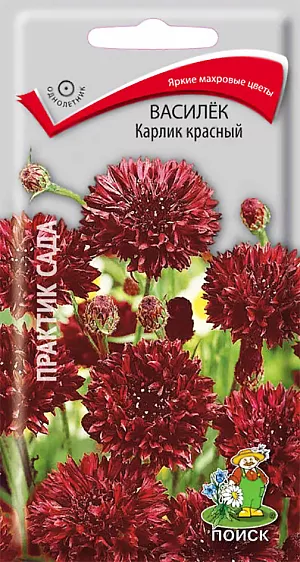 Семена Василек Карлик красный. Любимый цветок многих народов мира. Красивое стройное растение высотой 20-25 см. Махровые цветки собраны в соцветия-корзинки диаметром 4 см. Цветет с июня по сентябрь. Используют для оформления цветников и альпийских горок. <br>
Агротехника. Растение светолюбивое, холодостойкое. Почвы предпочитает рыхлые, питательные, нейтральные. Размножают посевом семян в апреле-мае в открытый грунт. Глубина заделки семян 0,3-0,5 см. При температуре почвы +20 °C всходы появляются через 14-20 дней. Сеянцы прореживают, оставляя расстояние между растениями 15-20 см.