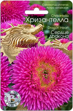 Семена Астра китайская Хризантелла Сердце Дракона из каталога Астра <div>
Семена Астра китайская Хризантелла Сердце Дракона.
</div>
<p>
Новейшее направление в селекции и качестве астры, выращиваемой из семян.
</p>
<p>
Удалось получить сочетание качества и стойкости хризантемы и очарование астры.
</p>
<p>
Впервые представляется селекционная группа астры, объединенная не только общими ботаническими признаками, но и впечатлением, ассоциациями и переживаниями.
</p>
<p>
Хризантелла – настроение, воплощенное в цветке.
</p>
<p>
Форма цветка и расцветка подтверждена грунт-контролем данной партии. Однородность растений обеспечена калибровкой семян.
</p>
<p>
Высота растения 60-80 см, стебель толстый и жесткий, активно формирует цветоносы второго порядка, которые дают 10-15 цветков на куст.
</p>
<p>
Посев: апрель-начало мая для цветения в августе-сентябре. Семена равномерно распределяют по поверхности подготовленного стерильного (для избежания поражения сеянцев черной ножкой) грунта, слегка присыпают субстратом, полив теплой водой.
</p>
<p>
Прорастание: 12-16 дней при температуре 15-16 °С.
</p>
<p>
Пикировка: в фазе 2-3 настоящих листьев растения пикируют в горшки диаметром 6 см. Оптимальная температура при выращивании 14-16°С.
</p>
<p>
Высадка в грунт: рассаду высаживают в грунт в возрасте 40-50 дней. При высадке рекомендуется схема 15x20 см, 32 растения на м кв.
</p>
<p>
Грунт: богатые гумусом суглинистые почвы, рН 5,5-6,5.
</p>
<p>
Удобрение: комплексное минеральное, с преобладающим содержанием азота.
</p>
<p>
Особенности: не рекомендуется выращивать астры на одном месте более одного года. Не допускать плотных посадок, чтобы избежать поражения грибковыми заболеваниями.
</p>