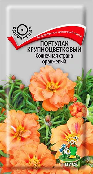 Семена Портулак Солнечная страна оранжевый крупноцветковый.
Великолепный цветочный ковер. Многолетнее растение, используемое как однолетнее. Образует кустик высотой 10 см. Оранжевые, похожие на розочки, махровые цветы, диаметром 3-4 см. Цветет с июня до заморозков. Идеально подходит для создания коврового цветника.
Агротехника. Растение предпочитает солнечные места и легкие супесчаные почвы. При выращивании рассады посевы проводят в марте. Семена слегка вдавливают в почву, землей не присыпают. Посадочную емкость накрывают стеклом и ставят в освещенное место. При температуре +18°C всходы появляются на 7-14 день. Сеянцы содержат при умеренной температуре, избегая переувлажнения почвы. Рассаду высаживают в конце мая. Семена соответствуют требованиям международных стандартов и ГОСТу РФ 12260-81