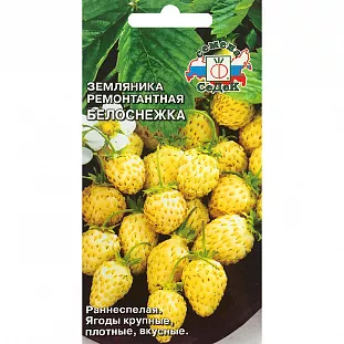 Семена Земляника (клубника) Белоснежка ремонтантная