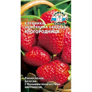 Семена Земляника (клубника) Огородница