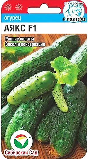 Семена Огурец Аякс F1