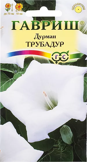 Семена Дурман Трубадур.
Растение прекрасно развивается в открытом грунте, достигая к августу высоты около 70 см при одновременном ежедневном распускании на каждом кусте до 12 огромных (до 20 см длинной) трубчатых снежно-белых цветков с нежным приятным ароматом (особенно вечером в сухую теплую погоду). 
Отдельный цветок живет в раскрытом состоянии 1 сутки. Выращивается через рассаду и используется как декоративный летник. 
Плоды - колючие коробочки с большим количеством крупных семян. Датуру можно выращивать и в качестве многолетней кадочной культуры. 
Растение по тепло- и свето-любивости сходно с баклажаном, однако лучше выносит похолодания.
Семена туго всхожие - могут всходить более 30 дней. Поливы и питание обильные. 
При уходе необходимо каждые 1-2 дня удалять отцветшие цветки с образовавшимися завязями для стимуляции цветения.