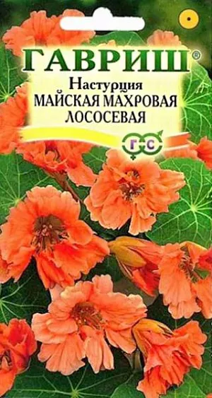 Семена Настурция Майская махровая лососевая<br>
 <br>
 Однолетнее травянистое растение семейства Настурциевые с плетистыми побегами длиной до 3 м. Цветет обильно с июня до заморозков. Цветки махровые 5-6 см в диаметре. Теплолюбива и светолюбива. Предпочитает умеренно плодородные, влажные почвы. Выращивают рассадным способом или прямым посевом в открытый грунт. Для получения рассады семена высевают в апреле в горшки (по 2-3 в лунку). Всходы появляются через 10-14 дней. В открытый грунт растения высаживают, не нарушая земляной ком в конце мая-начале июня на расстоянии 40-45 см. Посев в открытый грунт проводят в мае предварительно замоченными (в течение суток) семенами по 3-4 шт. в лунку. При благоприятных условиях настурция завязывает много семян, которые, осыпаясь, способны перезимовать в почве. Используется для вертикального озеленения, как почвопокровное и как ампельное растение.<br>
 <br>