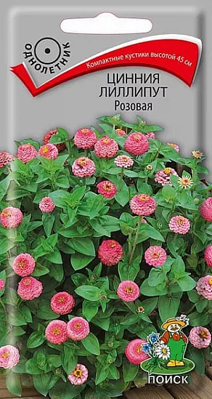 Семена Цинния лиллипут Розовая (ЦВ) ("1) 0,4гр. из каталога Цинния Семена Цинния лиллипут Розовая. Кустики с шаровидными соцветиями. Распространенное растение, не требующее особого ухода. Прекрасно подойдет начинающим цветоводам. Используется для высадки на клумбах и в группах. Семена высеивают в конце апреля, когда уже нет вероятности заморозков – цинния их не любит. Семена нужно на 1 см присыпать слоем грунта. Расстояние между цветками нужно выдержать 25-30 см. Выращивание – рассадным способом, всходы появляются на 6–10-й день. Начинает цвести цинния через 2,5 месяца.