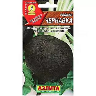 Семена Редька Чернавка Семена Редька Чернавка