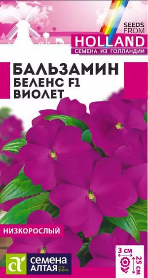 Семена Бальзамин Беленс F1 Виолет.<br>
 Многолетнее компактное растение, идеально подходящее для выращивания в горшечной, контейнерной культуре, в открытом грунте выращивается, как летник. Высота растения в горшке 15-20 см, в открытом грунте – 20-25 см. Ширина кустика 25-30 см. На сочных мясистых стеблях расположены удлиненно-эллиптические листья приятной зеленой окраски. Очаровательные простые цветки достаточно крупные, в диаметре 2-3 см. В помещениях цветет весь год при температуре не ниже +16°С. Широко используют для украшения клумб, цветников, рабаток, бордюров, подвесных корзин, контейнеров, вазонов. Растение теплолюбивое, в открытом грунте при наступлении холодных ночей увядает. Предпочитает слегка затененные места в саду или комнате. Не выносит переувлажнения.<br>
 <br>
Посевы на рассаду проводят в конце февраля - марте. Подойдет любая хорошо дренированная почва. Сеют поверхностно, не заделывая - для прорастания семенам нужен свет. Для получения наилучшего результата посев рекомендуем проводить в торфяные таблетки (одно семя в таблетку). Посевы увлажняют, накрывают стеклом (до появления всходов), периодически проветривая, и помещают в светлое место, избегая попадания прямых солнечных лучей. При температуре +23°С всходы появляются через 2-3 недели. После появления первых петелек температуру снижают, днем нужно поддерживать +18°C, а ночью +16°C. На данном этапе рассада нуждается в хорошем освещении, необходимая длина светового дня – не менее 12-14 часов, поэтому растения нужно досвечивать фитолампами. После появления 2-х настоящих листиков сеянцы пикируют в отдельные горшки, обеспечив дренаж. Делают это аккуратно, чтобы не повредить корни растений. В открытый грунт рассаду высаживают в мае-июне, когда минует угроза весенних заморозков, посадочный интервал 25-30 см. Цветение обильное и продолжительное, с июня до осенних холодов.