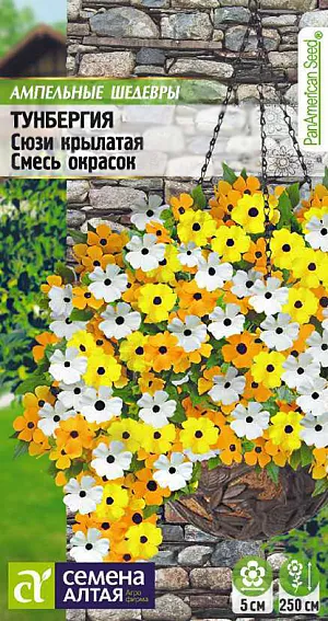 <div>
 Семена Тунбергия Сюзи смесь окрасок крылатая.
</div>
Быстрорастущая лиана, выращиваемая как однолетник. Красивое вьющееся обильноцветущее растение с яркими соцветиями, получившее и другое название - Черноокая Сюзанна - за цветки с темным зевом (глазком). Формирует стебли 2,0-2,5 м длиной с множеством сердцевидных листьев, контрастирующих с желтыми, кремовыми, персиковыми и оранжевыми цветками - одноцветными или с темным глазком в центре, диаметром до 5 см. Растение выглядит объемным, благодаря особому расположению листьев и цветков. Может выращиваться как вьющееся растение на опоре, так и как ампельник в подвесных корзинах, кашпо и ящиках, также выращивают в открытом грунте как почвопокровник. Цветение обильное и продолжительное с июня по сентябрь. Растение свето- и теплолюбивое. Предпочитает безветренные участки с дренированной известкованной почвой, полив умеренный. При выращивании рассады посевы проводят в феврале-марте в рассадные ящики. Глубина заделки семян - 0,2 см. Емкости с посевами накрывают пленкой. При температуре +18-21°C всходы появляются на 14-20 день, укрытие снимают. Когда сеянцы подрастут, их рассаживают по одному в небольшие горшки и обеспечивают хорошее освещение. В конце весны начинают закаливать растения, вынося их днем на улицу в защищенное от ветров место, на ночь заносят в дом. В открытый грунт рассаду высаживают в конце мая-начале июня, выдерживая посадочный интервал 60 см. В саду высаживать Тунбергию следует на западной или южной стороне. Растению необходимы защита от ветра, регулярные (раз в 10 дней) подкормки и полив.