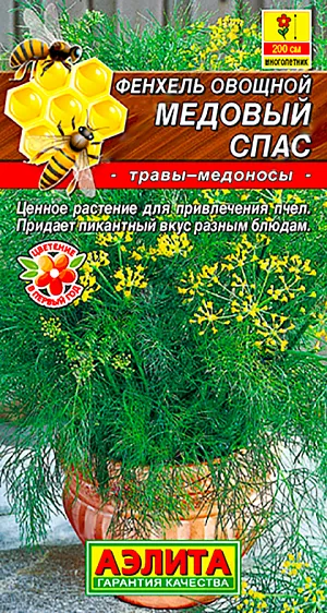Фенхель овощной Медовый спас