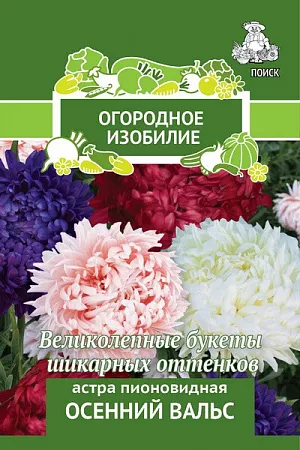 Семена Астра Осенний вальс пионовидная.
Великолепные букеты шикарных оттенков. Растение высотой 50-80 см. 
Соцветия махровые, диаметром 8-10 см, 8-12 штук на растении.
 Используют очень широко: для посадки в сборные цветники группами, на рабатки – рядами и на срезку.
 Посев: март
Глубина посева: 0.5 см
Высадка рассады: 25 мая- 5 июня
Время цветения: авг. – сент.
Схема посадки: 20х30 см