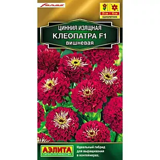 Семена Цинния Клеопатра F1 вишневая Семена Цинния Клеопатра F1 вишневая