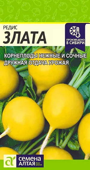 Семена Редис Злата Семена Редис Злата