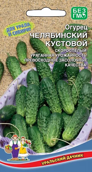 Семена Огурец Челябинский кустовой