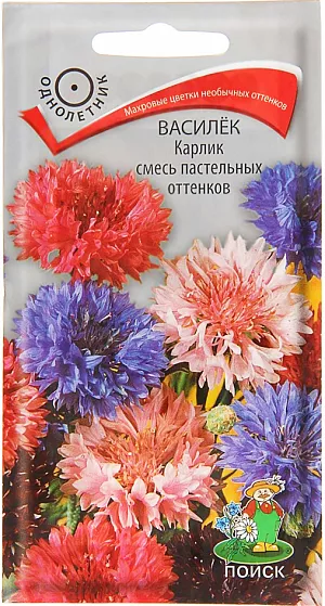 Семена Василек Карлик смесь пастельных оттенков. Популярный цветок. Растение с прямым разветвленным стеблем высотой до 30 см. Цветки собраны в некрупные соцветия-корзинки. Окраска белая, голубая, синяя, розовая, карминная, лиловая. Цветет с июня по сентябрь. Используют для оформления цветников, цветущих газонов и для срезки.<br>
Агротехника. Растение светолюбивое, холодостойкое. Почвы предпочитает рыхлые, питательные, нейтральные. Размножают посевом семян в апреле-мае в открытый грунт. Глубина заделки семян 0,3-0,5 см. При температуре почвы +20°C всходы появляются через 14-20 дней. Сеянцы прореживают, выдерживая расстояние между растениями 15-20 см.