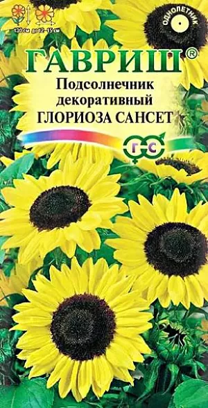 Семена Подсолнечник декоративный Глориоза Сансет из каталога Подсолнечник Семена Подсолнечник декоративный Глориоза Сансет <br>
<br>
Однолетнее декоративное растение из семейства Астровые. Растение прямостоячее, ветвящееся, высотой 130 см. На каждом побеге формируется корзинка. Цветет с июля по сентябрь. Соцветия лимонно-желтые с темной серединкой, до 12-15 см в диаметре. Засухоустойчив и теплолюбив, предпочитает солнечные участки с плодородной рыхлой почвой. Выращивают прямым посевом в открытый грунт в апреле-мае по схеме 70 х 70 см, по 2-3 семечка на глубину 2-5 см. Всходы переносят заморозки до -6°С. Эффектен в групповых посадках на газоне, используют для высоких задних бордюров, вертикального декорирования построек. Декоративный подсолнечник - прекрасное растение для сада в сельском стиле, получения срезки и создания цветочных и декоративных композиций.<br>