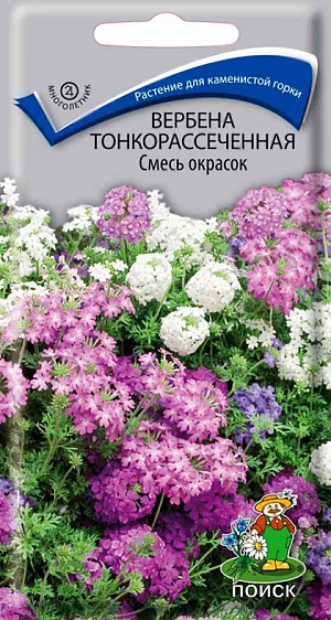 Семена Вербена Тонкорассеченная смесь окрасок.
Отличное растение для каменистой горки. Очень декоративное низкорослое многолетнее растение. Может выращиваться как однолетник. Листья сильно рассеченные, напоминающие мох. Образует подушку до 30 см высотой, которая с весны до осени полностью покрывается многочисленными ароматными розовыми, лиловыми и пурпурными цветами.
Агротехника. Растение достаточно холодостойкое, предпочитает солнечные места с любой хорошо дренированной почвой. Для выращивания рассады посев семян производят в конце февраля – начале марта в ящики. Всходы появляются через 10-20 дней. Посадку на место производят в конце мая, выдерживая расстояние между растениями 30 см. 