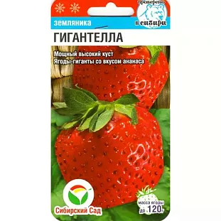 Семена Земляника (клубника) Гигантелла крупноплодная