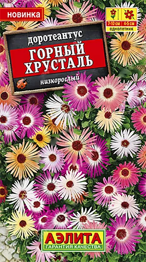 Доротеантус Горный хрусталь из каталога Разные <div>
Семена Доротеантус Горный хрусталь.
</div>
Миниатюрный почвопокровный летник из группы суккулентов. Известен еще как мезембриантемум, полуденник, стеклянная ромашка, хрустальная трава. Декоративными качествами обладают и листья, и цветы. Кустики сильно разветвленные, стелющиеся, высотой 7-10 см. Толстые мясистые листочки покрыты особыми пузырьками – идиобластами, похожими на сверкающие бриллианты. Яркие цветы- маргаритки Ø 4-5 см выглядят довольно крупными для миниатюрного растения. Обильное цветение напоминает роскошный ковер. Рекомендуется для рокариев, бордюров, клумб, солнечных балконов и южных окон.