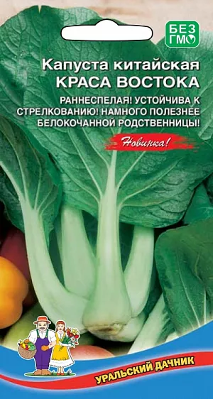 Семена Капуста китайская Краса Востока