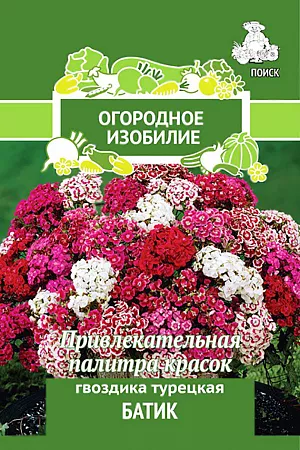 Семена Гвоздика Батик турецкая.
Очень привлекательное растение с плотными приплюснутыми разноцветными шапками цветков. Кустик высотой 50-60 см. Окраска цветков разнообразная. Листья линейно-ланцетные, зеленые. К концу 1-го года выращивания образуется розетка прикорневых листьев. Используют для сборных цветников, рабаток и для срезки.
 Посев: май-июнь
Глубина посева: 0.5 см
Время цветения: на 2-й год июнь-июль
Схема посадки: 25х30 см