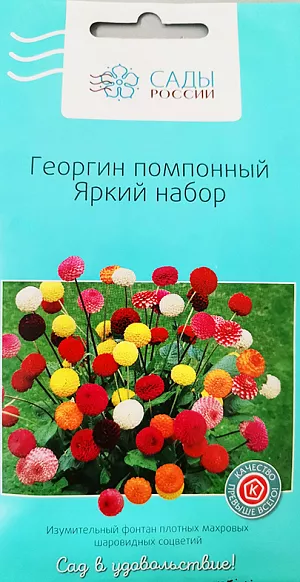 <div>
 Семена Георгин помпонный Яркий набор.
</div>
Однолетние георгины по своим декоративным свойствам совершенно не отличаются от своих многолетних собратьев. Крупные яркие цветы привлекают пчел, поэтому если посадить георгины рядом с овощными грядками, опыление им обеспечено. Георгины растут быстро, как только они станут достаточно высокими, следует сделать прищипывание на уровне 4-го листа. Рассаду высаживают в грунт, когда минует угроза заморозков.