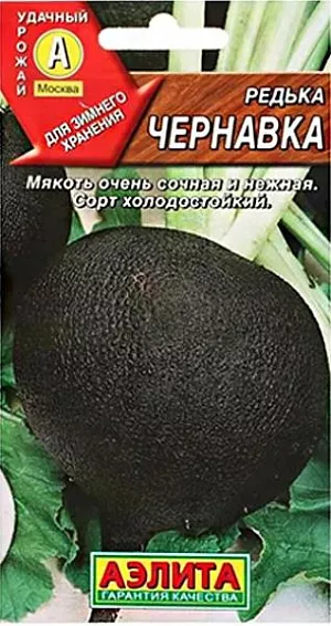 Семена Редька Чернавка