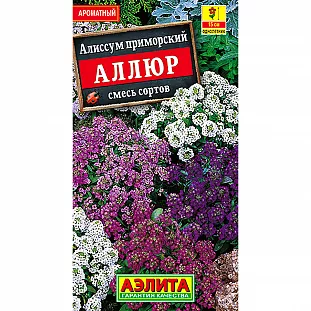 Алиссум Аллюр, смесь сортов