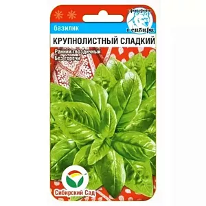 Семена Базилик Крупнолистный сладкий зеленый