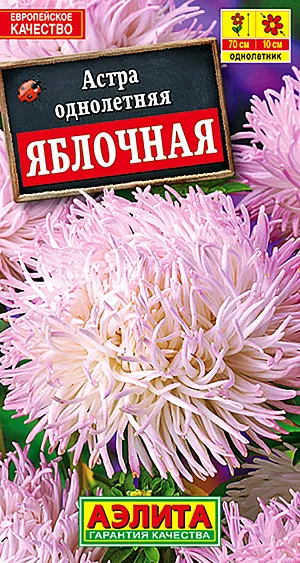 Семена Астра Яблочная.
Прекрасная срезочная астра, с совершенно новой формой цветка. Куст пирамидальный, высотой до 70 см. Соцветия розового цвета, с длинными изогнутыми внутрь и закрученными лепестками. Диаметр cоцветия 7-10 см. За период вегетации этот сорт формирует 8-10 цветоносов. Он великолепно подходит для срезки, транспортировки и хранения.
Агротехника. Выращивают рассадным способом. С развитием первой пары настоящих листочков сеянцы пикируют. На постоянное место рассаду высаживают в возрасте 30-35 дней. Возможен посев семян в открытый грунт весной или под зиму, в конце октября, на глубину 0,5-1 см. Растениям необходимы регулярные поливы, прополки, рыхления и подкормки.