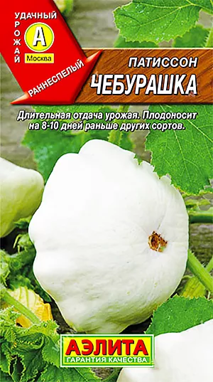 Семена Патиссон Чебурашка