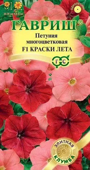 Семена Петуния многоцветковая Краски лета F1 из каталога Петуния Семена Петуния многоцветковая Краски лета F1<br>
<br>
Нарядная смесь гибридных петуний, устойчивых к ветру и дождям. Растения компактные, с роскошными кустиками высотой 30-35 см. Цветки пламенно-красные и золотисто-лососевые, до 5,5-6,5 см в диаметре. Цветут обильно все лето до заморозков яркими, насыщенными тонами. На постоянное место высаживают, когда минует опасность заморозков. Светолюбива и достаточно засухоустойчива. Предпочитает легкие, плодородные, хорошо дренированные почвы. Украсит контейнеры, вазы, подоконники, рабатки, бордюры. Используется как фоновая и балконная культура.<br>