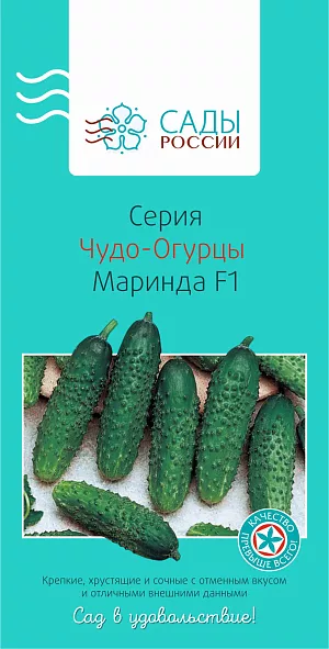 Семена Огурец Маринда чудо F1 Семена Огурец Маринда чудо F1