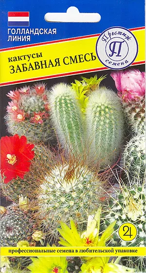 Семена Кактусы Забавная смесь.
Комнатное многолетнее.Смесь самых популярных, интересных и легко выращиваемых видов для домашнего выращивания. Характеризуется невероятным разнообразием форм и видов. Внесут разнообразие в Вашу домашнюю цветочную коллекцию. Неприхотливы к условиям выращивания.Посев круглый год. Прорастают в течение 20-50 дней. В дальнейшем предпочтительно светлое местоположение, без прямых солнечных лучей.Равномерный летний полив . На зиму полив прекращают и оставляют в покое до весны.