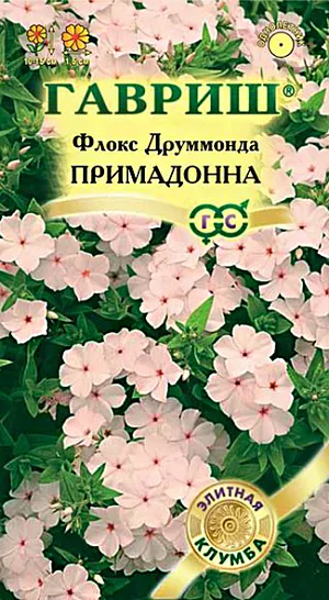 Семена Флокс Друммонда Примадонна <br>
 <br>
 Непревзойденный по красоте и цвету сорт для оформления сада в пастельных тонах и для создания контрастных композиций с ярко цветущими сортами цветов. Растение однолетнее, высотой 10-15 см. Цветки нежнейшего лососевого тона, до 1,5 см в диаметре, собраны в щитковидные соцветия. Зацветает рано, в начале июня, цветет обильно и продолжительно, до самых заморозков. Предпочитает солнечные места и легкие почвы. Посев на рассаду - в марте-апреле, высадка в грунт – в мае через 15 см. Используют как растение переднего плана на клумбах, в бордюрах, ковровых насаждениях, для массовых продаж в горшках и кассетах.<br>