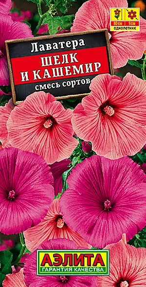 Семена Лаватера Шёлк и кашемир смесь окрасок.
Эффектная крупноцветковая смесь популярного летника. Кусты крепкие, хорошо разветвленные, ветроустойчивые, высотой до 80 см. Цветки 8-9 см. Цветение обильное и продолжительное. Хорошо переносят кратковременные похолодания и засуху. Используются в цветниках, подходят для срезки. Для стимуляции образования новых бутонов отцветшие побеги рекомендуется срезать.
Агротехника. Посев семян в открытый грунт, в лунки по 2-3 шт., на глубину 1 см. Для более раннего цветения возможен посев на рассаду в конце марта-начале апреля в отдельные горшочки. Рассаду высаживают в открытый грунт, не дожидаясь окончания сроков возвратных холодов. Растениям необходимы регулярные поливы, прополки, рыхления и подкормки.