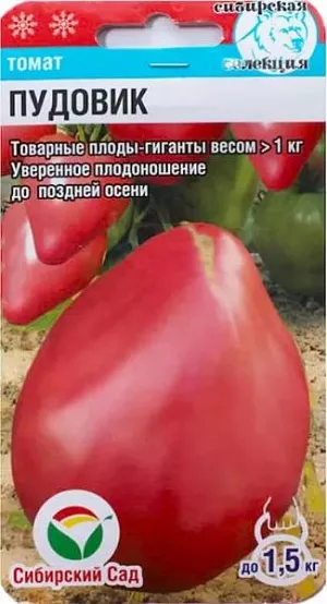 Семена Томат Пудовик Семена Томат Пудовик