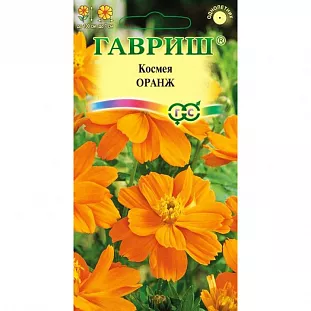 Космея махровая Оранж