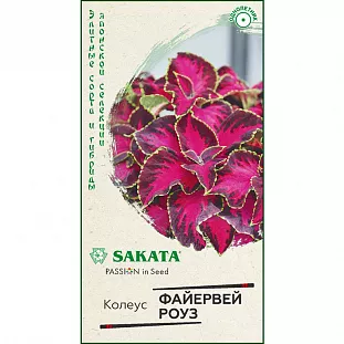 Семена Колеус Файервей Роуз
