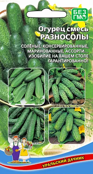 Огурец Разносолы смесь Огурец Разносолы смесь