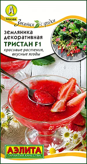 Семена Земляника (клубника) Тристан F1 Семена Земляника (клубника) Тристан F1