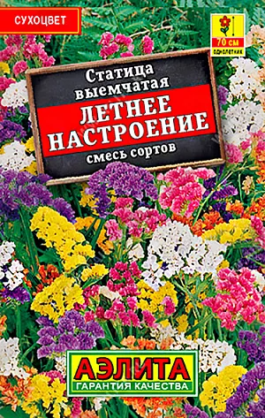 Семена Статица Летнее настроение. Неприхотливый летник для сухих солнечных мест. Известен также как кермек или лимониум. Подходит для выращивания в садовых вазах. Популярен для составления зимних букетов.