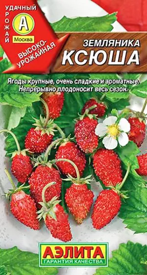 Семена Земляника (клубника) альпийская Ксюша Семена Земляника (клубника) альпийская Ксюша