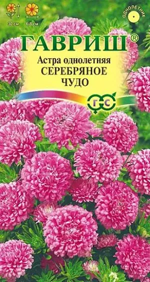 Семена  Астра Серебряное чудо<br>
 <br>
 Миниатюрное однолетнее растение высотой до 30 см. Куст компактный, ветвистый, с прочными стеблями. Соцветия серебристо-розовые, диаметром 6-8 см. Цветение ранее, с конца июня-начала июля до заморозков. Предпочитает хорошо освещенные участки с плодородной дренированной почвой. Астры обладают высокой холодостойкостью – хорошо переносят заморозки до -3-4°C. Выращивают, чаще всего, рассадным способом. Используют для бордюров, партерных цветников, балконов, контейнеров.<br>