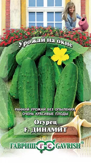 Семена Огурец Динамит F1