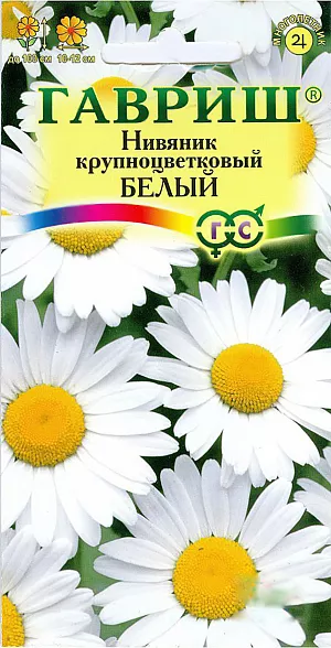 Нивяник крупноцветковый Белый из каталога Нивяник Семена Нивяник крупноцветковый Белый.
Многолетнее растение с множеством ветвистых стеблей высотой от 60 до 100 см. Листья стеблевые, нижние черешковые лопатчатые, верхние продолговатые, сидячие, по краям городчатые.
Соцветия - корзинки диаметром 10-12 см. Размножают семенами, делением корневищ и черенками. Семена высевают весной для выращивания рассады или осенью — в гряды открытого грунта. Сеянцы зацветают на второй год. Кусты делят на 3-4-й год выращивания, так как при более длительной эксплуатации растений происходит мельчание соцветий. Деление производят весной, на мелкие части, которые высаживают на расстоянии 30 см. Нивяник хорошо смотрится в групповых посадках на фоне декоративных кустарников, в рабатках, его можно использовать при создании одновидовых групп, которые прекрасно выглядят на газоне, на опушках, около декоративных кустарников. Кроме украшения сада из ромашки получается превосходная срезка.