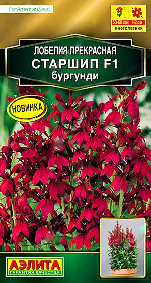 <div>
 Семена Лобелия Старшип F1 бургунди.
</div>
 Высокорослая лобелия от американской компании PanAmerican Seed с яркими и крупными цветками диаметром 1-2 см. Растения формируют компактный, густой, устойчивый куст высотой 50-60 см., шириной 20-30 см. Гибрид порадует ранним, пышным цветением, активно привлекая бабочек. При этом цветки плотно покрывают побеги и долго не опадают. Великолепная лобелия подойдет для высокорослых клумб, миксбордеров, крупных садовых вазонов и сольных посадок.<br>
 <br>
  Семена в гранулах! Каждая гранула содержит 8-10 семян. Гранулы располагают по поверхности субстрата, увлажняют из распылителя и закрывают стеклом до появления всходов. Семена прорастают на свету. Лобелия светолюбива и влаголюбива. Предпочитает легкие, некислые почвы с невысоким содержанием органики.<br>