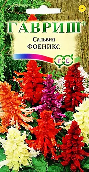 Семена Сальвия Феникс.
Ценная однолетняя смесь из белой, лососевой, фиолетовой, розовой и красной окраски соцветий. Растения семейства Губоцветные высотой до 30 см. Цветки в мутовках по 2-6, крупные, неправильные, с двойным околоцветником, собраны в кистевидное соцветие длиной 14-20 см. Предпочитает солнечные участки с рыхлыми, умеренно плодородными почвами, может расти в полутени. Выращивают рассадным способом. Для получения рассады посев проводят в феврале-марте. Всходы появляются на 10-15 день. Рассаду высаживают в начале июня, после окончания весенних заморозков, расстояние между растениями 20-25 см. Цветение обильное с июня до заморозков. Используют для посадки на клумбах, газонах, рабатках, в балконные ящики.