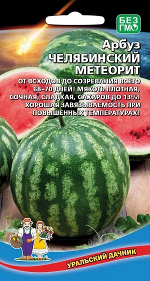 Семена Арбуз Челябинский метеорит Семена Арбуз Челябинский метеорит