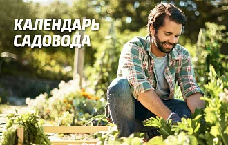 Календарь садовода. Сентябрь. Календарь садовода. Сентябрь.